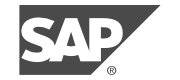 SAP_180x80